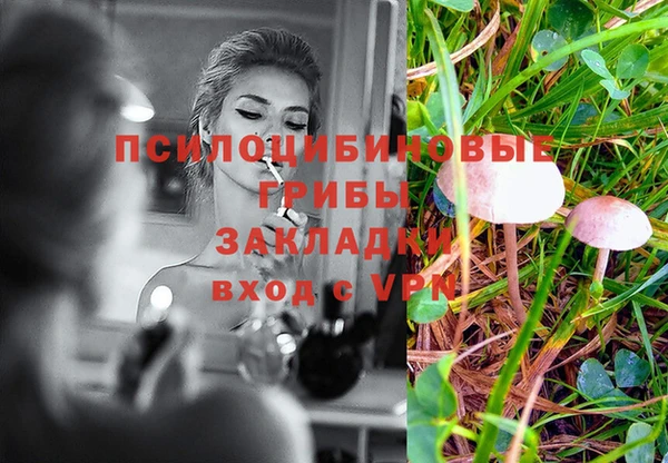 прущие крисы Верея