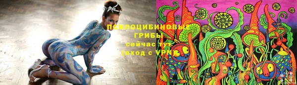 трава Верхнеуральск